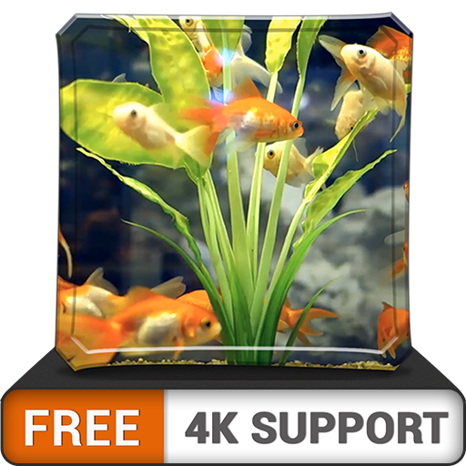 free happy aquarium HD - dekorieren Sie Ihr Zimmer mit einem wunderschönen Meerwasseraquarium auf Ihrem HDR 4K-Fernseher, 8K-Fernseher und Feuergeräten als Hintergrundbild, Dekoration für die Weihnach