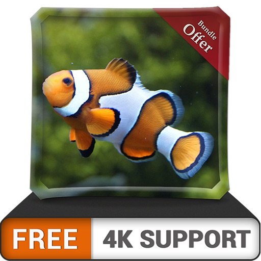 free clown fish aquarium HD - dekorieren Sie Ihr Zimmer mit einem wunderschönen Aquarium auf Ihrem HDR 4K-Fernseher, 8K-Fernseher und Feuergeräten als Hintergrundbild, Dekoration für die Weihnachtsfer