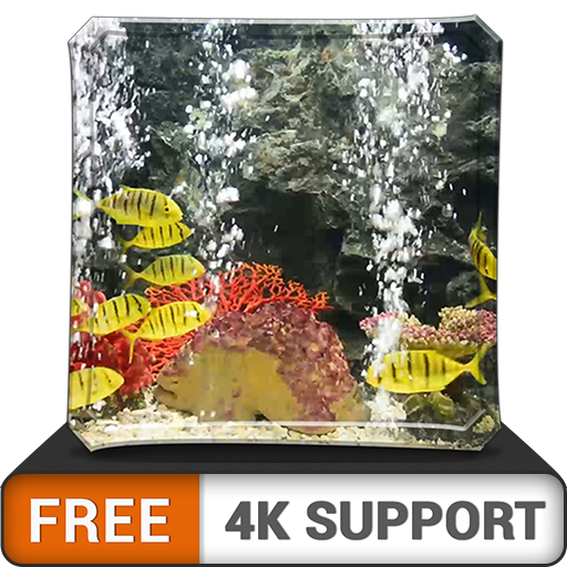 Kostenloses friedliches Aquarium HD - Dekorieren Sie Ihr Zimmer mit einem wunderschönen Aquarium für Meereslebewesen auf Ihrem HDR 4K-Fernseher, 8K-Fernseher und Feuergeräten als Hintergrundbild, Deko