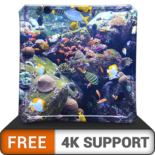 free aquatic beauty HD aquarium - dekorieren Sie Ihr Zimmer mit einem wunderschönen Meerwasseraquarium auf Ihrem HDR 4K-Fernseher, 8K-Fernseher und Feuergeräten als Hintergrundbild, Dekoration für die