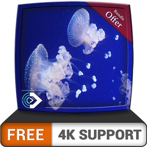 kostenloses Quallenaquarium HD - genießen Sie die Quallen auf Ihrem HDR 4K-Fernseher, 8K-Fernseher und Feuergeräten als Hintergrundbild, Dekoration für die Weihnachtsferien, Thema für Vermittlung und