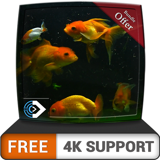 free beautiful aquarium HD - dekorieren Sie Ihr Zimmer mit einem wunderschönen Aquarium auf Ihrem HDR 4K-Fernseher, 8K-Fernseher und Feuergeräten als Hintergrundbild, Dekoration für die Weihnachtsferi