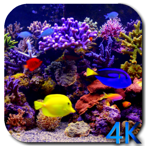 Aquarium 4K video live wallpaper
