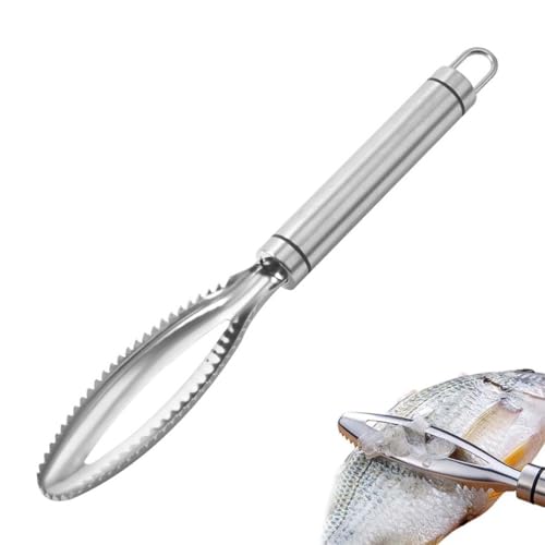 UEAVOID 1 Stück Fischentschupper Edelstahl,Fischentschupper,Profi Fisch Scaler Scraper,Fischschaber für Küche Fisch KüChenhelfer(25 * 3.7cm)