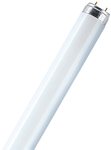 Leuchtstofflampe L 30 Watt 865 Tageslicht - Osram 30W