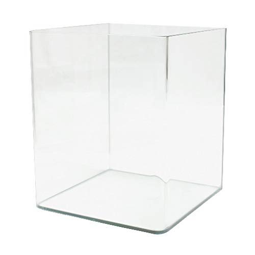 Amtra Nanotank 20 - Aquariumbecken 20 Liter - Glaskasten extra klar 25 x 25 x 30 cm - Becken für Goldfische oder als Schildkrötenbecken für Wasserschildkröten inklusive Stoßdämpfungsmatte