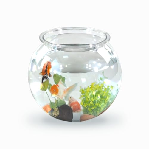 Mobiclinic® Pets, Kugelaquarium, Nemo, 4 Liter, PET ECO Kunststoff, Transparentes Design, 20x20x17,5cm, Leicht zu reinigen, Robust, Ideal zur Wohnungsdekoration, Wasserpflanzen