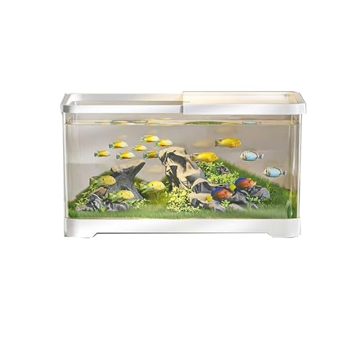 Aquarium Aquarium Desktop Transparent Acryl Aquarium Mit Deckel Und Basis Kleine Wohnzimmer Haushalt Fischzucht Tank Aquarien(Weiß,M)