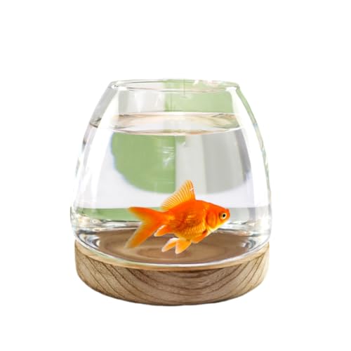 Aquarium Klar Fisch Schale, Glasfischbehälter mit Holzsockel, Glas mit hoher Lichtdurchlässigkeit for klare Sicht, kleines Aquarium for Kampffische, Goldfische, Garnelen(10x10cm)