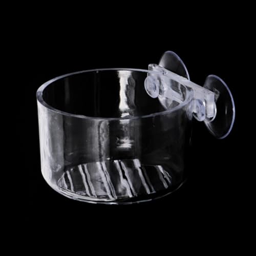 BHFYOB 5 Stück Fisch-Futterbecher RedWorm Feeder mit Saugnapf Aquarium Food Feeder Kegel Cup Clear Acryl Schüssel