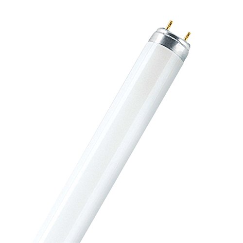 OSRAM Leuchtstofflampe LUMILUX T8, 36 Watt, G13 830 EEK A