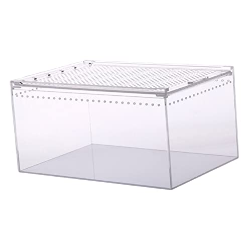 DRESSOOS Kasten Krabbelbox Aus Acryl Schlangengehege Lebensmittelbehälter, Behälter Für Lebensmittel Kleine Tierhäuser Terrarium Für Reptilien Reiseträger Für Reptilien Aquarium Transparent