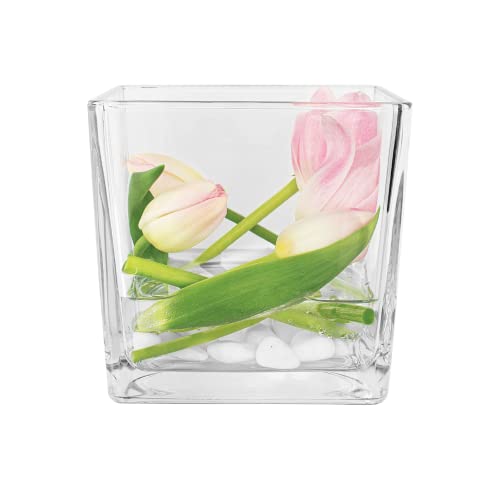 TREND FOR HOME Vase Klein 12.5 cm Mini Vase Tischdeko Hochzeit Blumenvase Frühlingsdeko Kerzenhalter Viereckig Quadratische Glasvase Teelichtglas Cube Deko Wohnzimmer Transparent | Ø 13 cm | Cassia