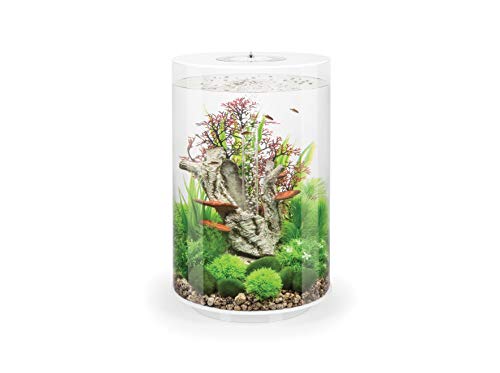 biOrb 72067 TUBE 30 LED, weiß (30 L) - 360-Grad Deko-Aquarium | Komplett-Set aus Acryl-Glas mit LED-Beleuchtung, Filter-System und Boden-Keramik