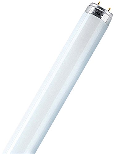 Leuchtstofflampe L 36 Watt 840-1 1 Meter Universalweiß - Osram