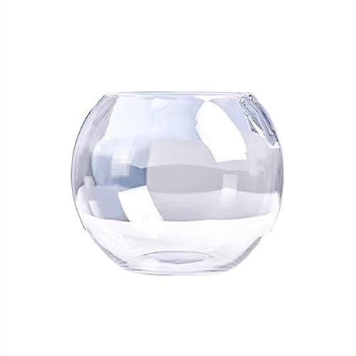 Lizhuzhuzs28 Aquarium Büro Kleines Aquarium Verdicktes Transparentes Glas Aquarium Schildkröte Wohnzimmer Home Desktop Runde Kleine Goldfisch Tank Fischtank(002)