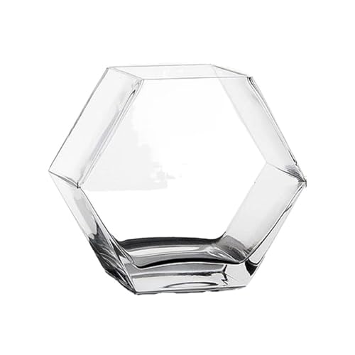 SUNMME Aquariumglas, verdickt, transparent, für den Schreibtisch, dekorativ, fürs Büro, kreative Fischschale, Vase, Aquarium (20 x 10 x 17,6 cm) (eine Farbe: 20 x 10 x 17,6 cm)