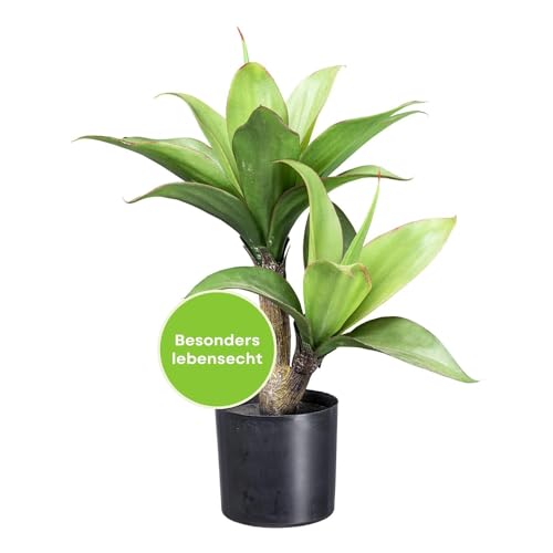 CREATIV green künstliche Agave Pflanze 45cm I künstliche Pflanzen ideal als Zimmer Deko I Pflanzen künstlich mit naturgetreuen & grünen Blättern I hochwertige Deko Pflanzen künstlich mit Topf
