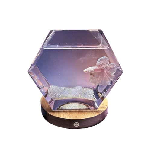 Kleines Aquarium, Fighting Fish Aquarium with Base Pentagonal Transparent Glass Small Fish Tank Living Room Desktop Decorative Ornaments, Aquarium