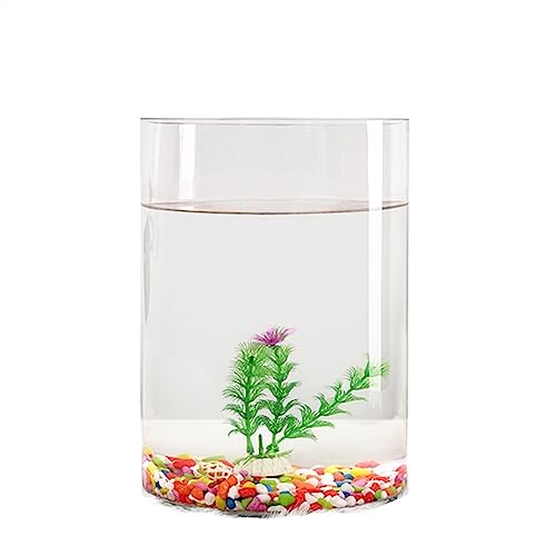 KKXXYQFC Goldfischbecken, transparentes Glas, Aquarium, kleine ökologische Box, zylindrisches großes Schildkrötenbecken, Aquascape-Zubehörbecken (Größe: 003)