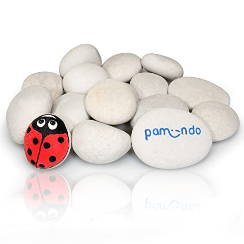 pamindo® Steine zum Bemalen Set - Glatte rundliche und teilweise flache Kieselsteine zum Basteln - handverlesene Deko-Steine als Kreativ Set für Kinder – hellgrau/beige - Natursteine 50-80 mm groß