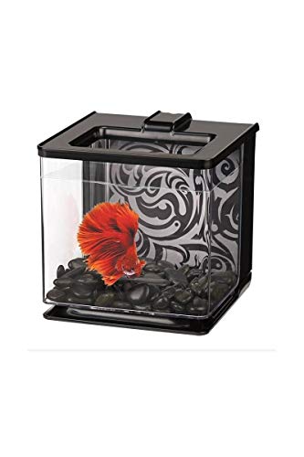 Marina Aquarium Betta EZ Care, Schwarz