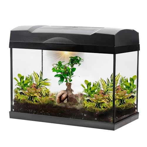 vdvelde.com - Tropical Bonsai Mega Terrarium - 1 Bonsai + 5 farbige Pflanzen - Abmessungen: 39x21x31 cm - Beleuchtung mit Netzanschluss