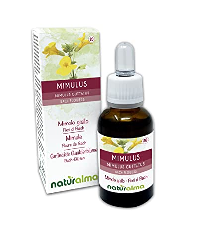Mimulus oder Gefleckte Gauklerblume (Mimulus guttatus) Bach-Blüten Naturalma - Tropfen 30 ml - Alkoholfreier Flüssigextrakt - Blütenessenzen - Vegan und alkoholfrei