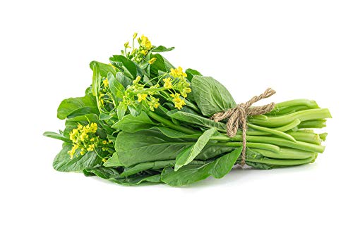 Gesundes grünes Gemüse Vier Neun Chinakohl (Choy Sum 3000+), Gartensaatgut zum Anpflanzen