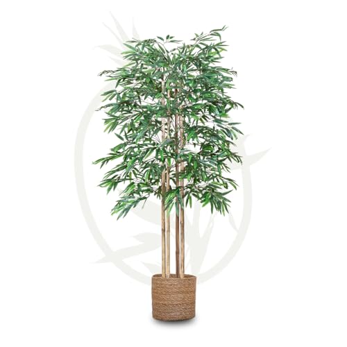 Maia Shop | Künstlicher Bambus | Kunstpflanzen | Künstlicher Baum | Maße: 150 x 80 cm | Künstliche Pflanzen | Fake Plant | Plastik Pflanze | Deko | Deko Wohnzimmer