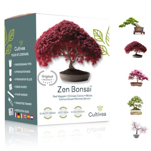 Bonsai Starter Kit – Set Bonsai Anzuchtset 5 verschiedene Bonsaï-Samen – Wachstumsanleitung enthalten - Züchten Sie Ihren wunderschönen Bonsai – Geschenkidee für Männer und Frauen - CULTIVEA®