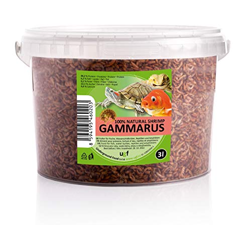 UGF - Premium Gammarus Bachflohkrebse Getrocknet, 3 Liter ≈ 300g Eimer, Schildkrötenfutter, Fischfutter Aquarium, Axolotl Futter, Hamsterfutter, Igelfutter, Koi Futter, Rattenfutter