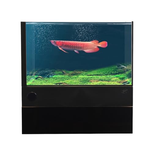 Premium Glas-Fischbecken mit integriertem Bodenfiltersystem – 30 Gallonen Ultra-klares Aquarium-Set, leiser einstellbarer Durchfluss, einfacher Wasserwechsel für Süß- und Meeresfische (18 Liter)