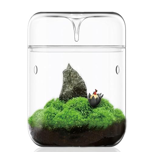 Kleines Glas-Pflanzenterrarium 12x17,5 cm Sukkulenten-Luftplanter Farnmoos Mikrolandschaftsvase für die Dekoration von Hausgärten Büro-Tischplatte Behälter mit Deckel Innen-Wardian DIY-Geschenk