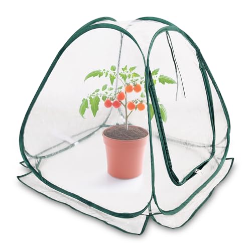 Mini Pop-Up Folien Gewächshaus 60 x 60 cm – Kleines Treibhaus für Gemüse, Blumen & Pilze – Transparentes PVC Überwinterungszelt für Pflanzen – Kein Aufbau Erforderlich