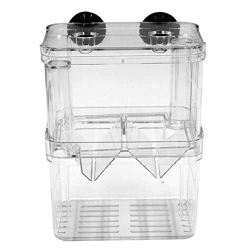 Weduspaty Aquarium Fish Breeder Box Fish Brezing Box Aquarium Inkubator Fry Brüterei Isolation Box Fisch Eltern Behälterteiler mit Saugnäpfeln Doppelschichten Acryl transparent l