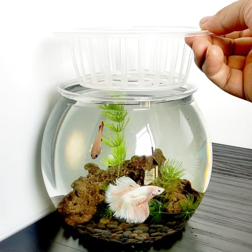 Aquaponic Betta Aquarium, 1,8 l, hochtransparentes Kunststoff-Aquarium, rundes kleines Aquarium, ideales Aquaponik-Anzuchtsystem