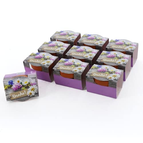 Bull & Bear 10er Set Mini-Pflanzset 'Danke', 10x Blumensamen im Topf 4,5cm, Mini Blumen als Anzuchtset mit Pflegeanleitung