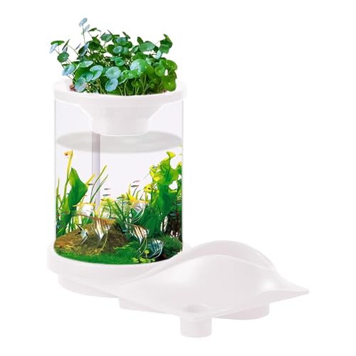 Desktop-Betta-Aquarium, Kleines Aquarium,Durchscheinender, Leiser Wassertank Mit Filtersystem, Aquatic Bowl Hydroponisches Aquaponisches Ökosystem Für Zuhause, Wohnung, Arbeitsplatz, Fischgeschäft