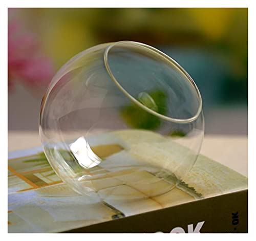 Aquarien Europäischer Stil kreativer exquisiter und ästhetischer abgeschrägter Glas Mini-Fischtank Runde Vase Mode Dekoration Handwerk Desktop-Aquarium(Diameter 10cm)