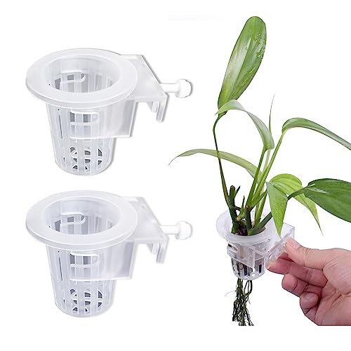 duozoanz Aquarium Hängepflanzenhalter Pflanzenhalter Plant Cup - Pflanzenbecher mit Haken für Aquaponische Pflanzenanbau Landschaft Pflanzen Aquascape Dekoration Wasser Pflanzen, 2 Stück