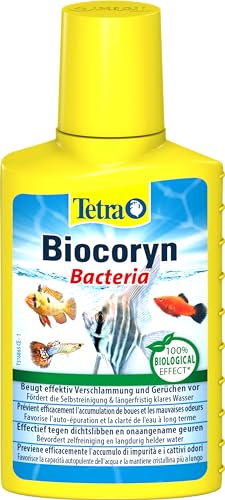 Tetra Biocoryn - Wasseraufbereitungsmittel zum biologischen Abbau von Schadstoffen, beugt Verschlammung & Gerüchen im Aquarium vor, 100 ml