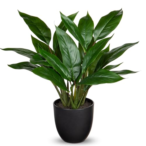 Briful Künstliche Pflanze Wie Echt Kunstpflanze Dekopflanze Calathea Buschig mit 22 Blättern im Kunststofftopf Zimmerpflanze, Höhe 43cm, Grün