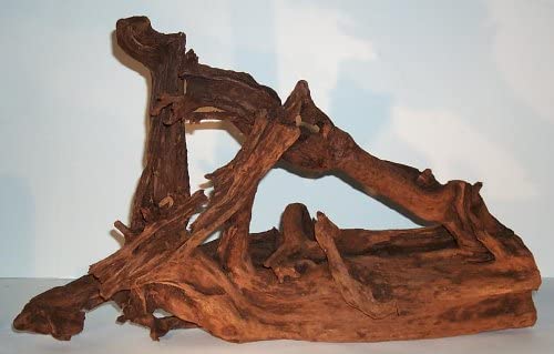 Orbit Mangroven-Wurzel Medium ca. 25 - 35 cm