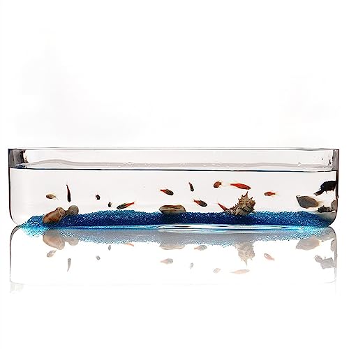 Kleines Aquarium, Aquarium Kleines Glas Rechteckiges Aquarium Aquarium Ökologisches Aquarium Transparentes Glas Wohnzimmer Büro Desktop Aquarium Dekoration, Aquarium(Mittel)