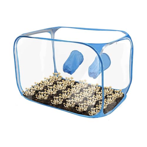Pilzzucht-Set, faltbares PVC-Pilz-Zelt, tragbare Standluftbox mit 2 Arm-Anschlüssen, wiederverwendbare Pilzzuchttasche für Pilzzucht, Zimmerpflanzenzelte