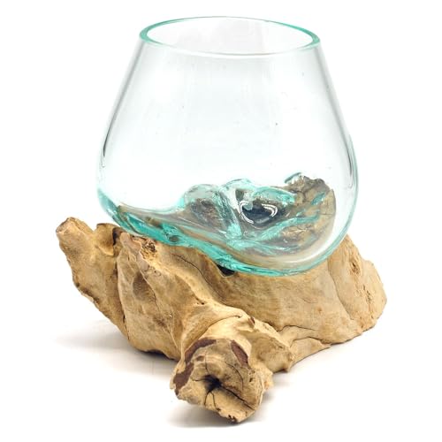 Wurzel mit Glasvase Rund Ø ca.11-12 cm Glas Kugelvase Vase auf Holz Wurzelholz (Wurzel 10-14 cm) Braun
