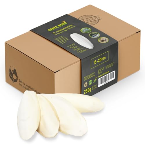 Sepia King Sepiaschalen – XL Box 250g 15-20cm | Natürliche Kalzium und Mineralstoff-Quelle | Sepia Schalen - Futter für Reptilien, Schildkröten, Bartagame, Vögel, Terrarium Zubehör