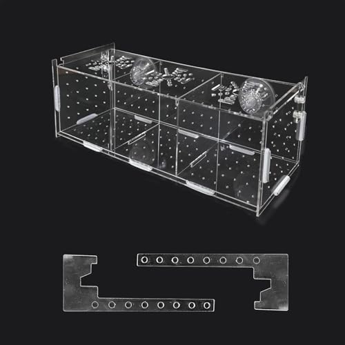 Züchterbox für Aquarien, transparente Acryl-Zuchtbox mit Haken, Aquarium-Inkubator mit Saugnapf, rutschfest, höhenverstellbar, Fisch-Isolationsbox für Guppy-Garnelen