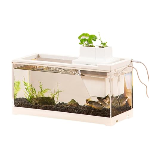 Desktop Aquarium aus Glas | Transparentes Klein Aquarium aus Glas | Aquarium Starter Kits mit Luftpumpe und Licht | Tisch Aquarium Aquarium Komplettset Für Schildkröten, Reptilien, Garnelen, Moos